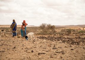 Halista saddex jibaaran ee isbedelka cimilada, colaadaha, iyo xaaladaha degdegga ah ee caafimaadka: Waxay khatar badan oo isku dhafan ku tahay dadka ugu nugul oo ku sugan goobaha khatarta ah.