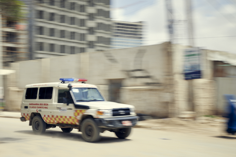 The First Link: First Aid in Action