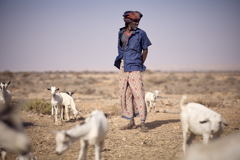 Facts and Figures 2025