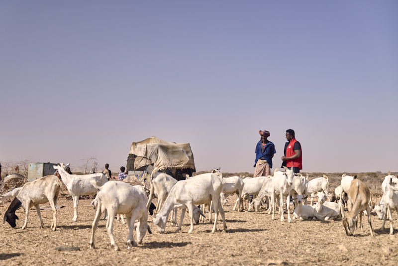 ICRC Programmes and Activities in Somalia