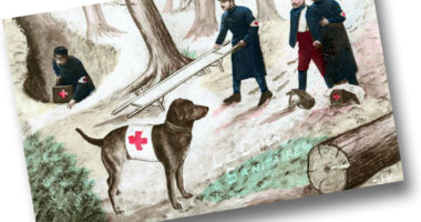 Le chien de sauvetage – Le Kitch de la Croix-Rouge