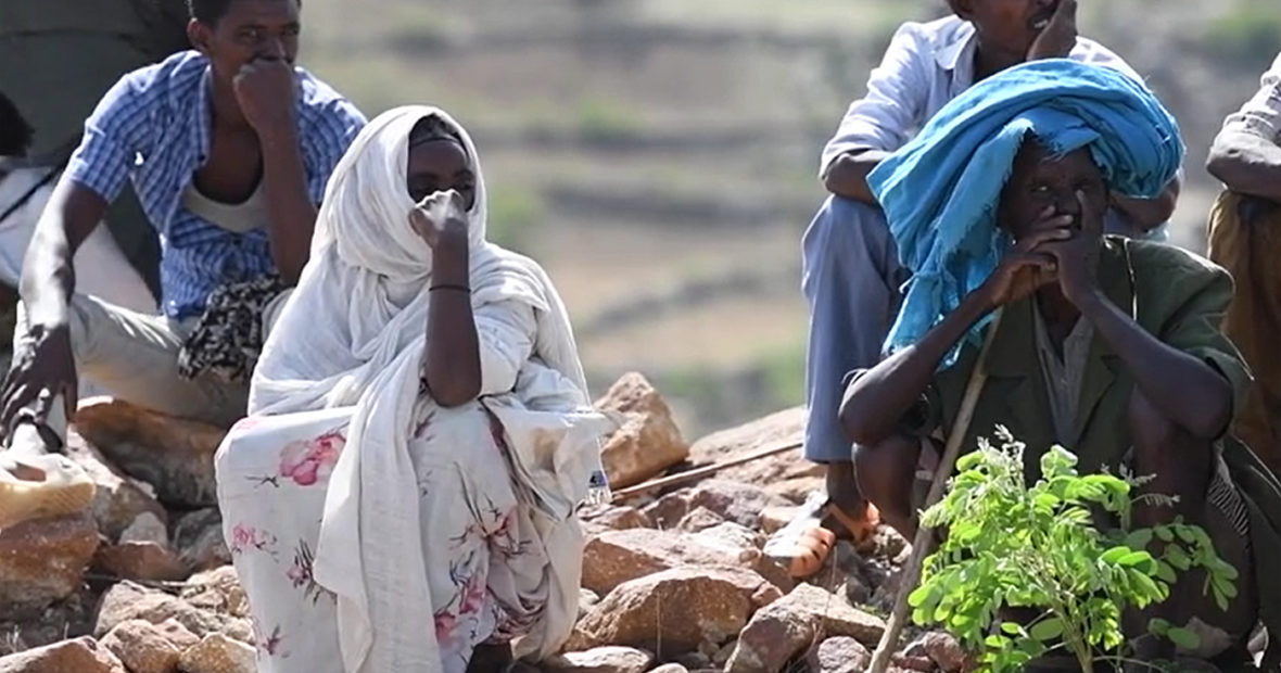 Ethiopie : l’insécurité alimentaire au Tigré, conséquence de la violence et des pénuries