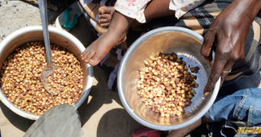 Un Africain sur quatre touché par la crise alimentaire