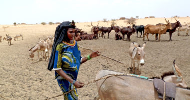 COP 15 : au tragique de la désertification rapide du Sahel s’ajoute celui du conflit armé