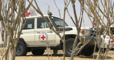 Crise alimentaire au Niger : le Mouvement international de la Croix-Rouge et du Croissant-Rouge appelle à une action urgente