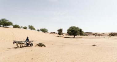 Niger : la crise alimentaire s’ajoute aux conséquences humanitaires du conflit et du changement climatique