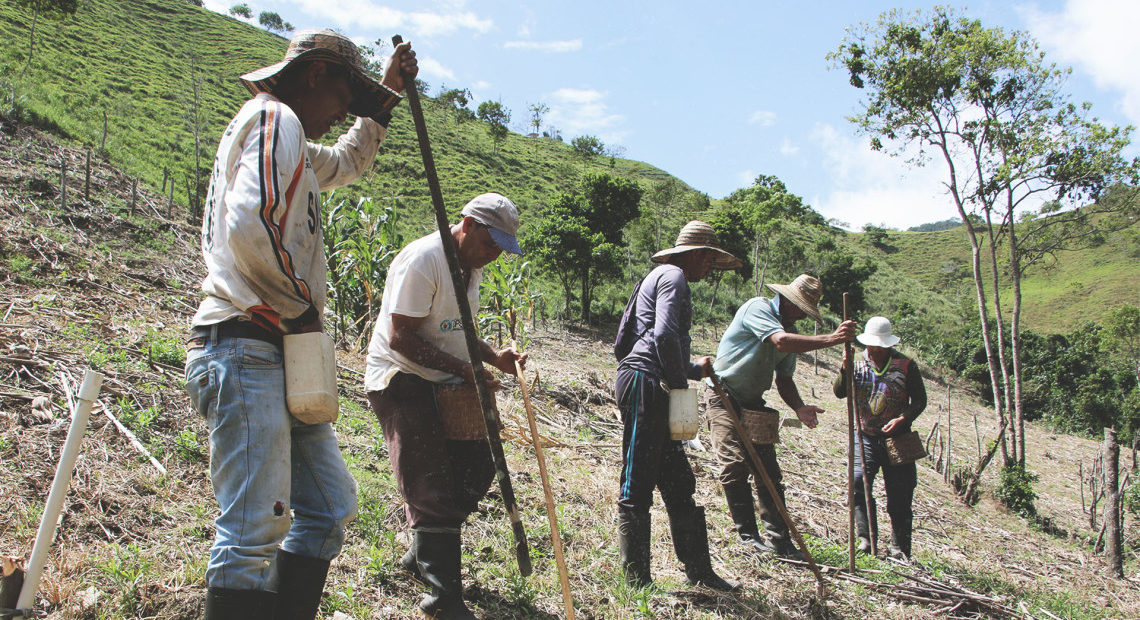 Colombie : le fléau des mines antipersonnel et autres engins explosifs