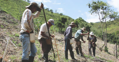 Colombie : le fléau des mines antipersonnel et autres engins explosifs