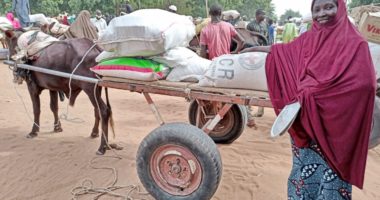 Niger : soutien aux populations et à leurs moyens de subsistance