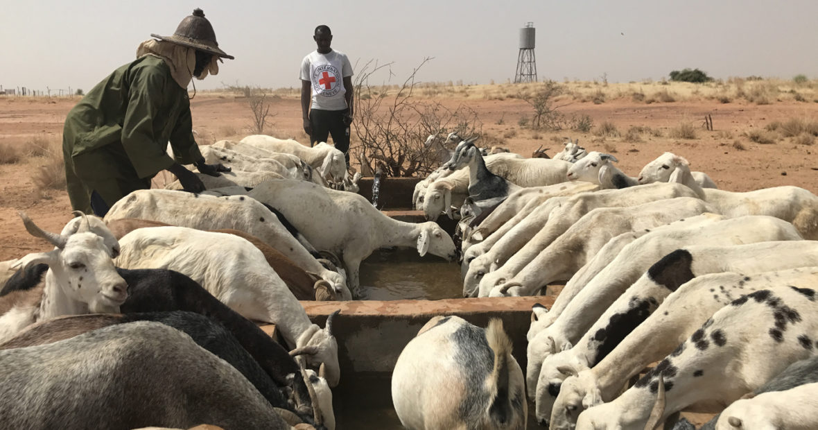 Mali : le pastoralisme, un mode de vie ancestral en danger
