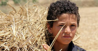 Farmers in Gaza finally able to farm their lands