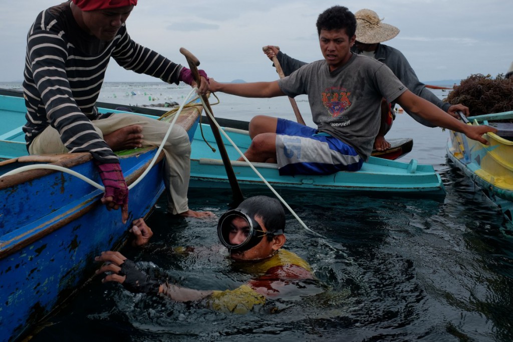 philippines-seaweed-farming-4 | The ICRC in Israel, Golan, West Bank, Gaza