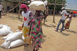 מוגודה, צפון קמרון.  אישה נושאת לביתה משלוח מזון שזה עתה אספה, בעוד שמתנדבת של הצלב האדום הקמרוני מתכוננת לסייע לבא בתור במהלך חלוקת מזון.  CC BY-NC-ND / ICRC / T. Gnonsian