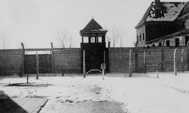 Article published for the Fiftieth anniversary of the liberation of Auschwitz concentration camp