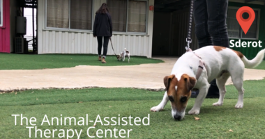 The Animal-Assisted  Therapy Center in Sderot