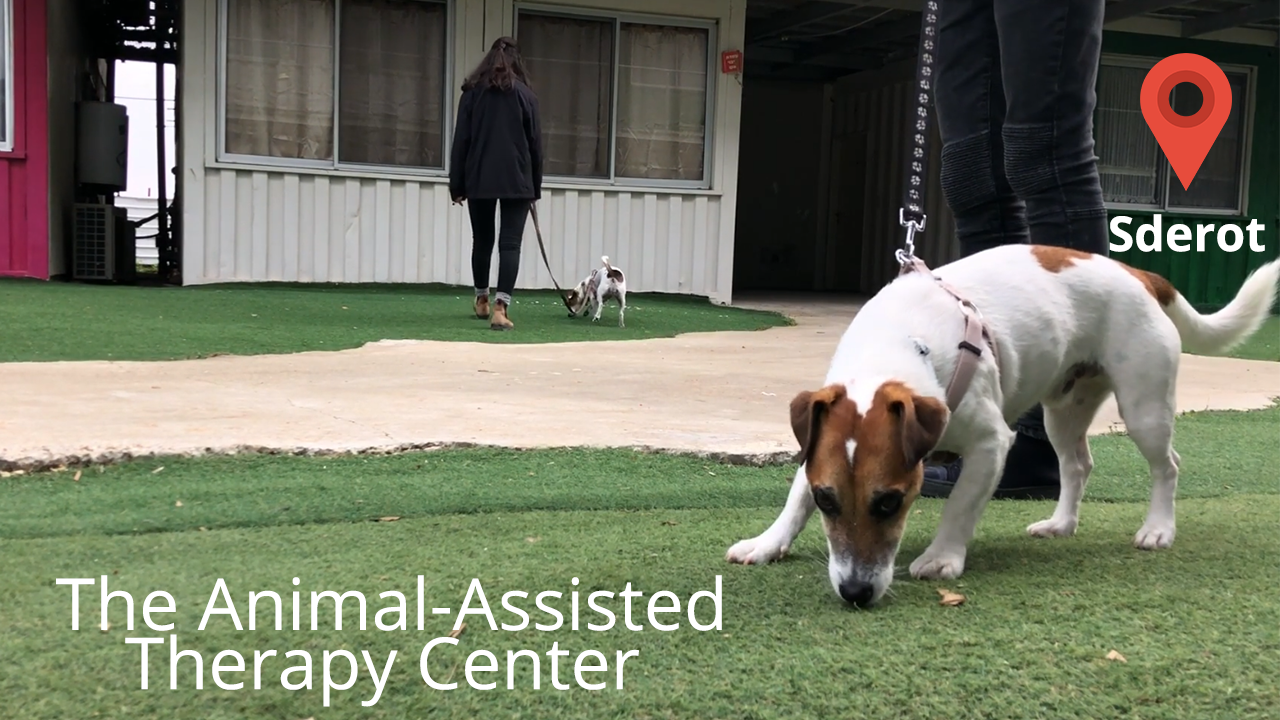 The Animal-Assisted Therapy Center in Sderot | The ICRC in Israel, Golan,  West Bank, Gaza