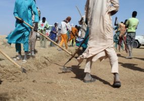 Niger: Building community resilience to conflict and climate shocks
