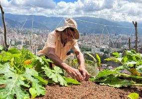 Climate-smart solutions for communities in the Americas