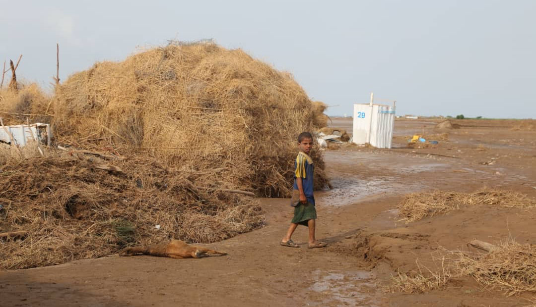 Yemen: People taking stock of lives and livelihoods lost after weeks of record floods