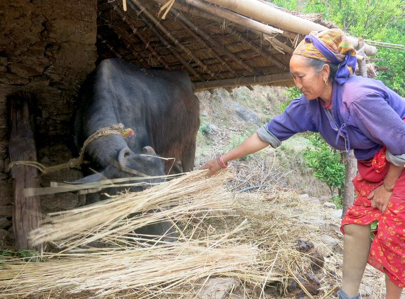 “I Will Come Back… More Confident” – Marmendu’s Story Two Years On from Nepal Earthquake
