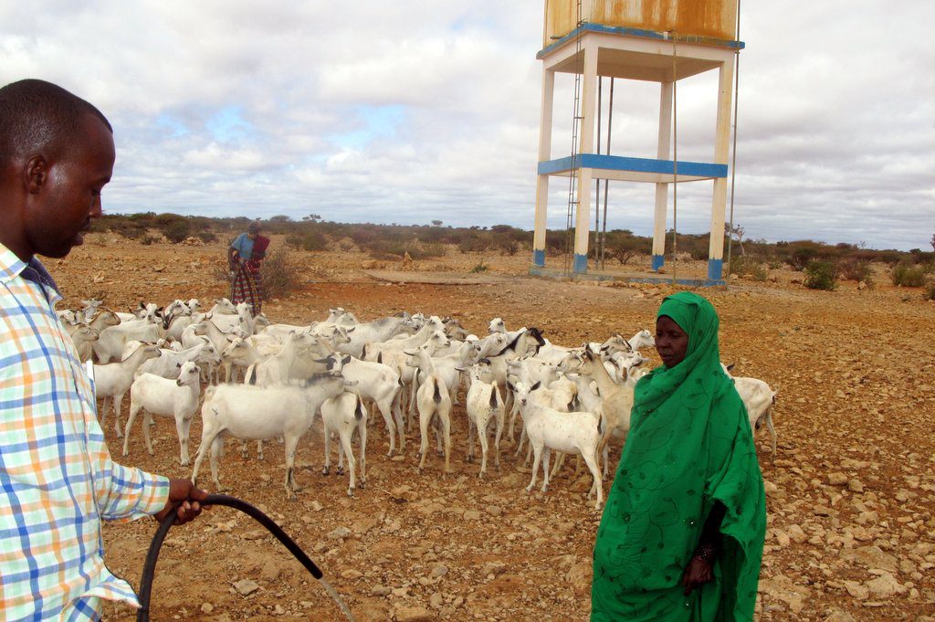 Fernando Resta who coordinates water projects for the ICRC Somalia says water is an urgent concern for herders given the harsh environment they live in. ©ICRC/Miraj Mohamud